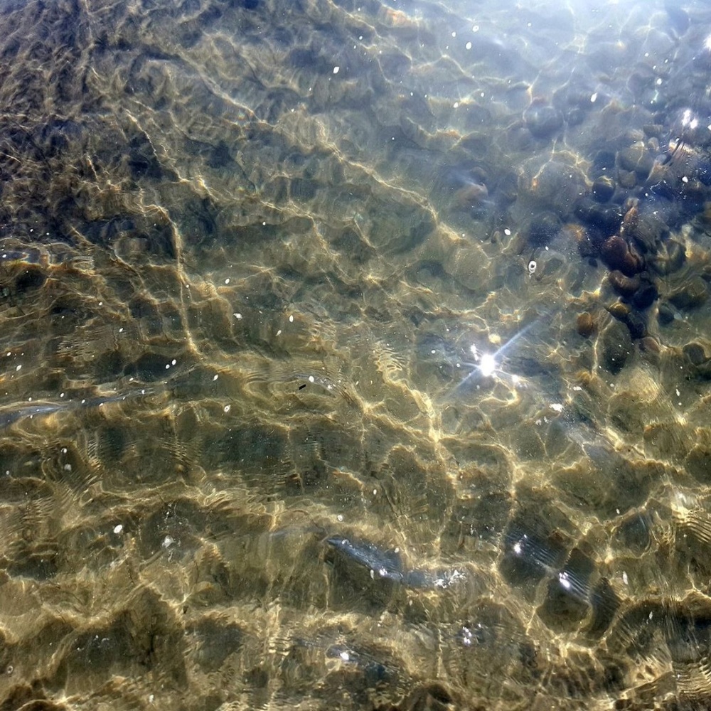 MAGICAL SPARKLES ~ 8" X 10" Photography